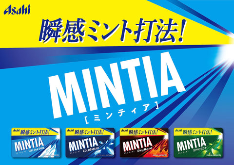 Asahi Group Food Mintia Wild & Cool 50 Tablets x 10 Packs