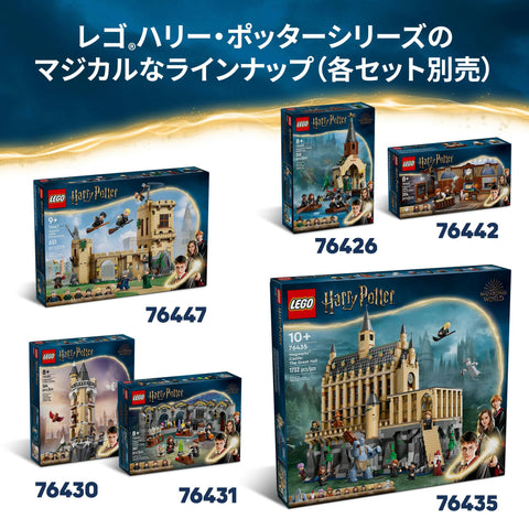 LEGO 樂高 哈利波特 0 玩具 生日 禮物 積木 男孩 女孩 兒童 8歲 9歲 10歲 小學生 哈利波特 商品 76441