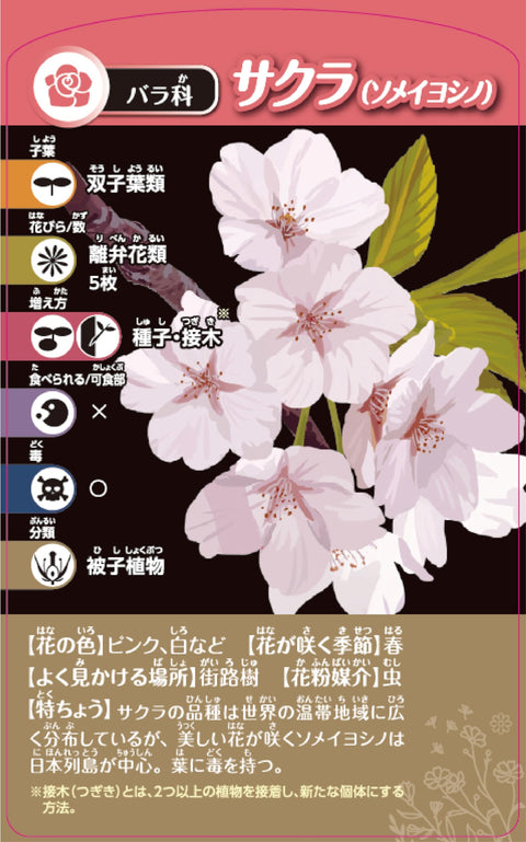 Kumon Publishing TS-40 Thinking Plant Classification Card Game, KUMON TOY STEAM Educational Toy, Science, STEM Education