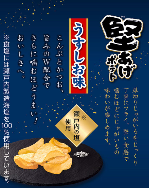 カルビー 堅あげポテトうすしお味ＢＩＧ 132g×12袋