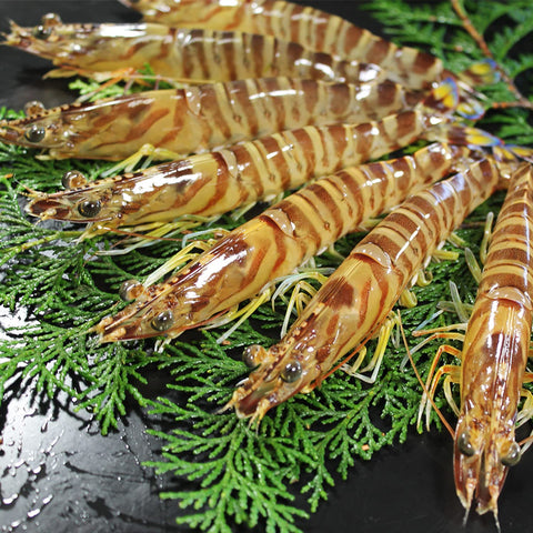 Happiness Hall Amakusa Shrimp Crackers Gift Set, 16 Pieces