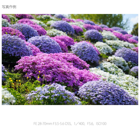 소니 스탠다드 줌 렌즈 FE 28-70mm F3.5-5.6 OSS 풀사이즈 호환