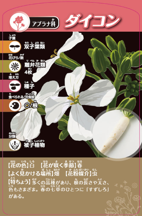 Kumon Publishing TS-40 Thinking Plant Classification Card Game, KUMON TOY STEAM Educational Toy, Science, STEM Education