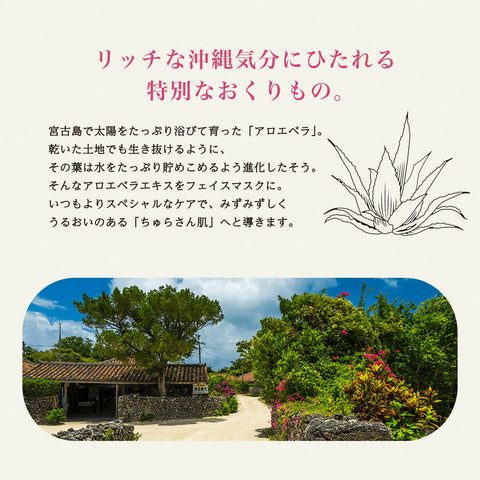 冲绳的 プレミアムルルルンシトラス 香1片装 × 5袋