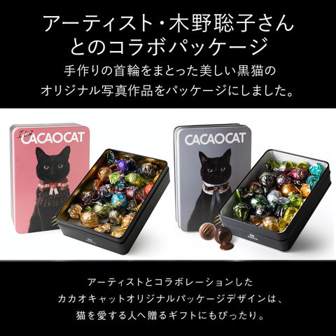 CACAOCAT Can Mix 14 Pack CAT
