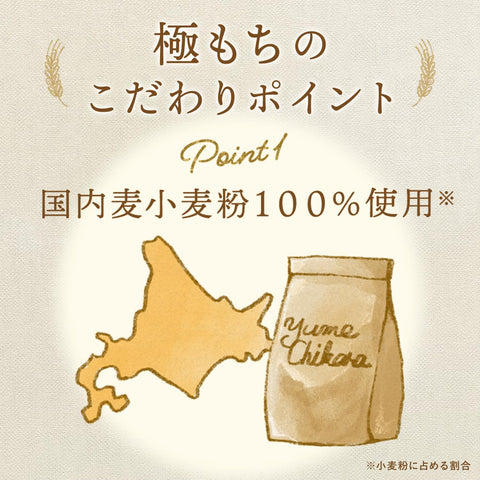 日清製粉ウェルナ ホットケーキミックス 極もち 国内麦 小麦粉 100% 使用 480g ×2個