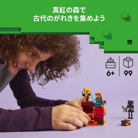 LEGO 樂高 我的世界 Niser的熔岩戰鬥 玩具 生日 禮物 積木 益智男孩 女孩 兒童 6歲 7歲 8歲 9歲 遊戲 21266