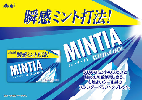 Asahi Group Food Mintia Wild & Cool 50 Tablets x 10 Packs