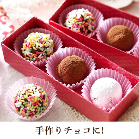 ロッテ ガーナミルク 50g×10個