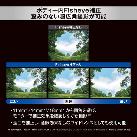 OM 시스템 피쉬아이 렌즈 M.ZUIKO 디지털 ED 8mm F1.8 피쉬아이 프로 스타스케이프/자연 풍경