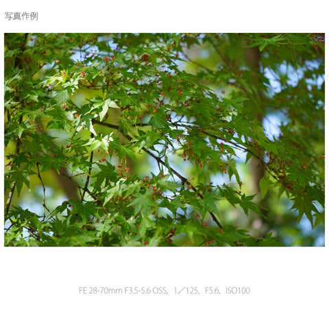 소니 스탠다드 줌 렌즈 FE 28-70mm F3.5-5.6 OSS 풀사이즈 호환
