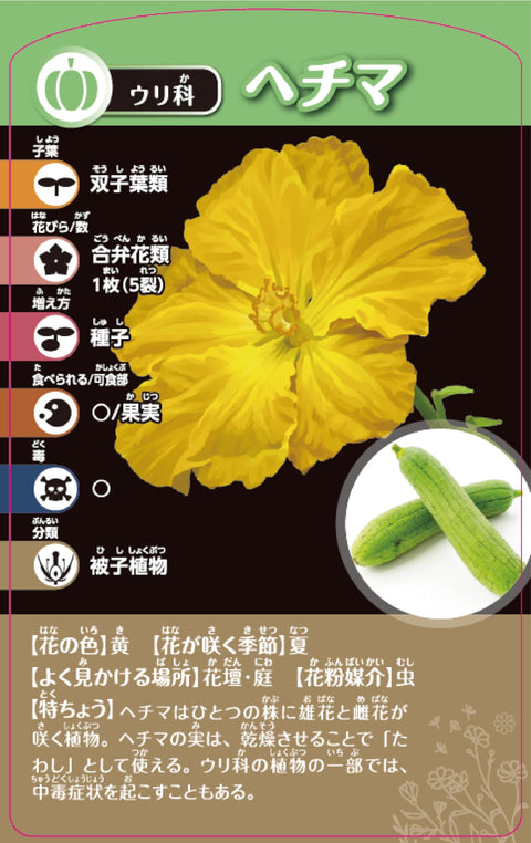 Kumon Publishing TS-40 Thinking Plant Classification Card Game, KUMON TOY STEAM Educational Toy, Science, STEM Education