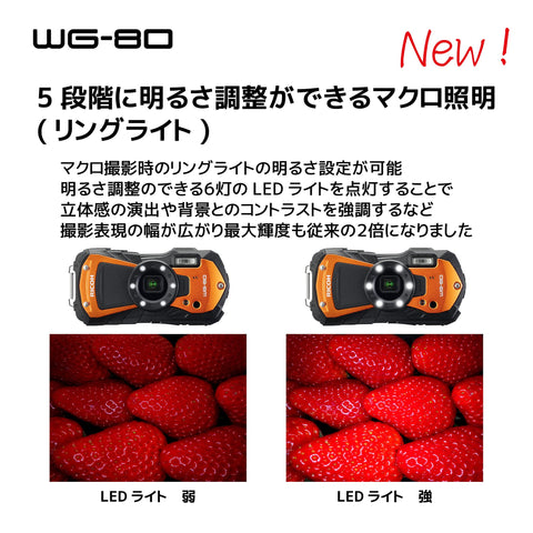 RICOH WG-80 ORANGE リコー本格防水デジタルカメラ 14m防水 (連続2時間) 1.6m耐衝撃 防塵 -10℃耐寒 アウトドアで活躍するタフネスボディ CALSモード搭載で 現場記録など幅広いビジネスシーンで活躍3126