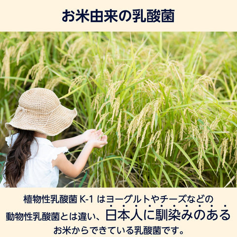 亚马逊植物基乳酸菌 K-1 补充剂，30 片（30 天用量）