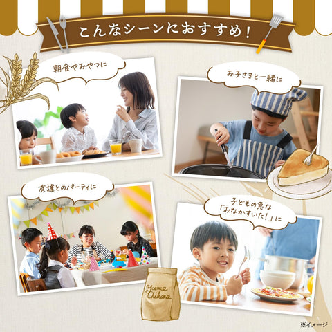日清製粉ウェルナ ホットケーキミックス 極もち 国内麦 小麦粉 100% 使用 480g ×2個