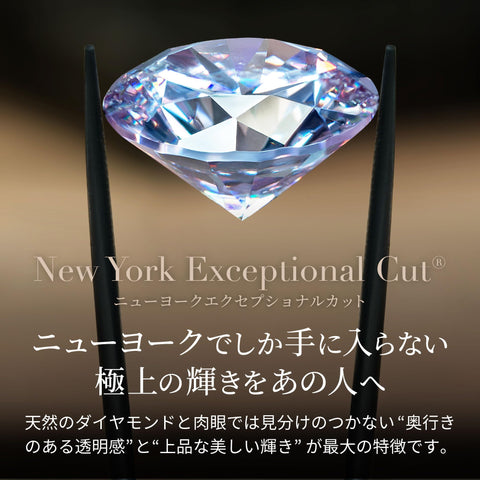 Gift from New York 環形耳環 女士 鉑金 K18 玫瑰金 加工 搖曳 耳環 永恆 金屬過敏 品牌 女性