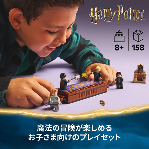LEGO 樂高 哈利波特 0 玩具 生日 禮物 積木 男孩 女孩 兒童 8歲 9歲 10歲 小學生 哈利波特 商品 76441