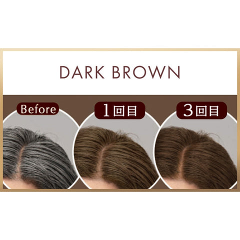 CIELO Coloring Treatment For overall coloring Dark brown　×５