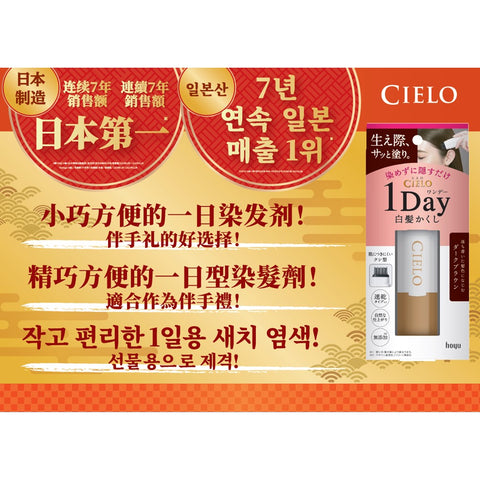 CIELO 1DAY Gray Hair Concealer Natural Brack　×１０