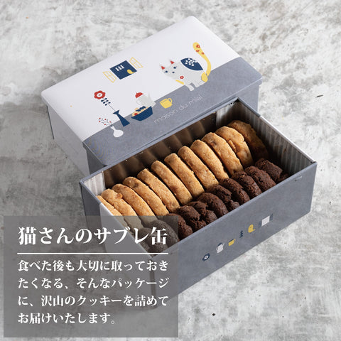 (메종두미엘) 스위트 캔디 쿠키 캔 기프트 쿠키 모음 프리미엄 캣 세이버 캔 밸런타인데이 화이트데이