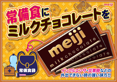 明治チョコレート ミルクチョコレート 50g×10枚