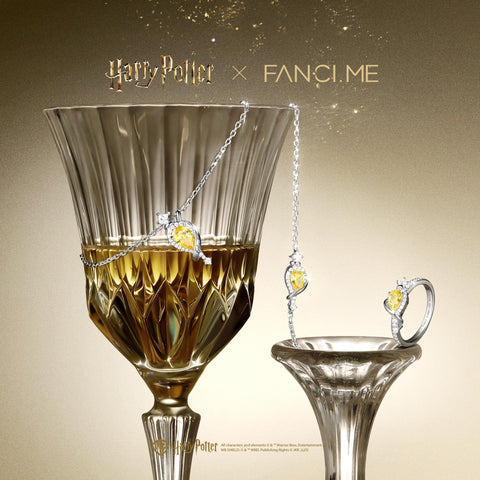 FANCIME x Harry Potter 官方合作款 Felix Felisis 項鍊 手鍊 銀 哈利波特 專用盒子 萬聖節 聖誕節 禮物