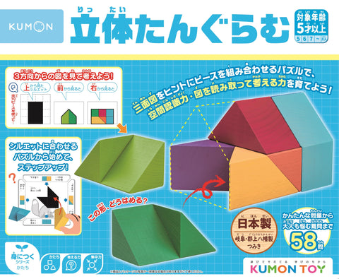KUMON PUBLISHING RT-10 KUMON TOY 3D Educational Toy, Math 3D Pass, 5 Years Old and Up ST