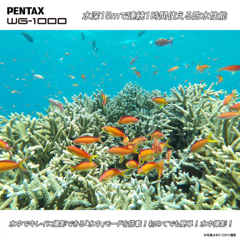 ペンタックス PENTAX WG-1000 グレー 本格防水デジタルカメラ 15m防水 (連続1時間) 2m耐衝撃 防塵仕様 2153