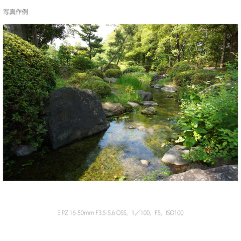 Sony SELP1650 Camera Lense