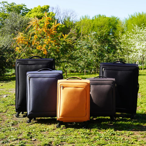 Ace Tokyo No. 35701 SS Suitcase, Carrying Case, Carry-on Bag, Small Size, 1 Night, 2 Days, 2 Nights, 3 Days, 31 Ls, 5.1 lbs (2.3 kg), Lock Paint SS No. 35701, 18.1 inches (46 cm)