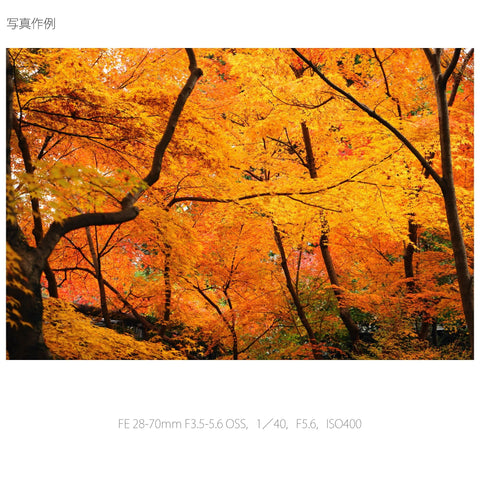 Sony Standard Zoom Lens FE 28-70mm F3.5-5.6 OSS Full Size Compatible