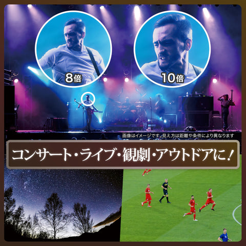ビクセン(Vixen) 双眼鏡 アトレックIIシリーズ アトレックIIHR10×32WP 14724-3 ブラック