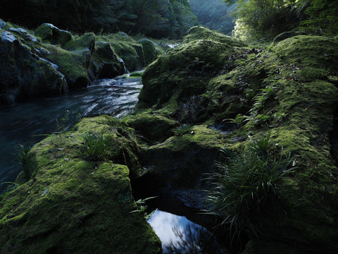 OM SYSTEM/オリンパス M.ZUIKO DIGITAL ED 12-40mm F2.8 PRO II ブラック