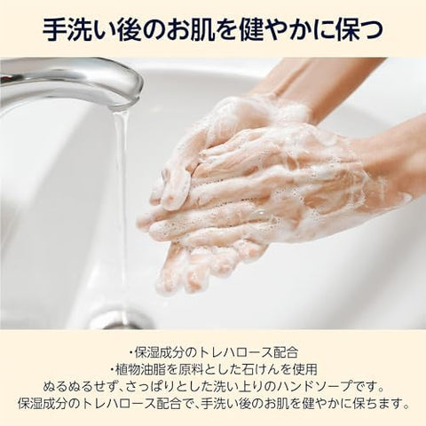 by Amazon Large Capacity Pax Skin Happy Hand Soap 900mL (NATUXIA)