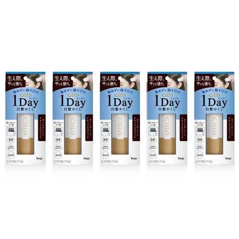 CIELO 1DAY Gray Hair Concealer Natural Brack　×５